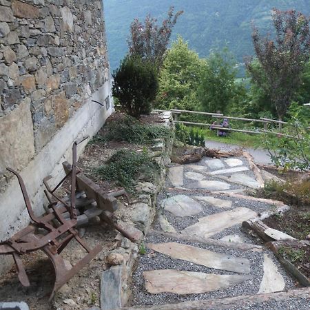 Vila Agriturismo Al Castagneto Mazzo di Valtellina Exteriér fotografie